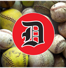 Greater Dunedin Little League