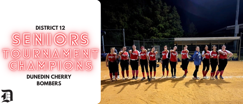 District 12 Seniors Softball Champions